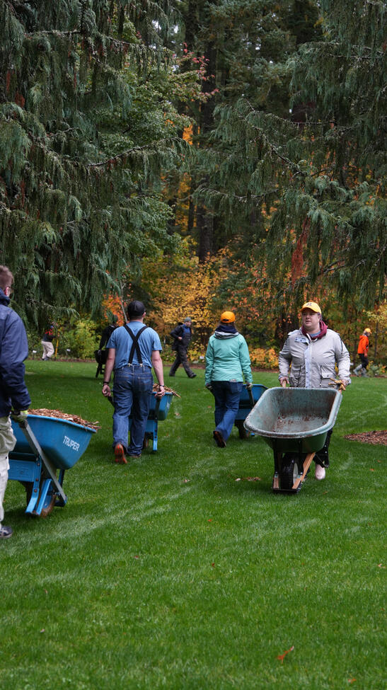 Videographer, Photographer | Make A Difference Day